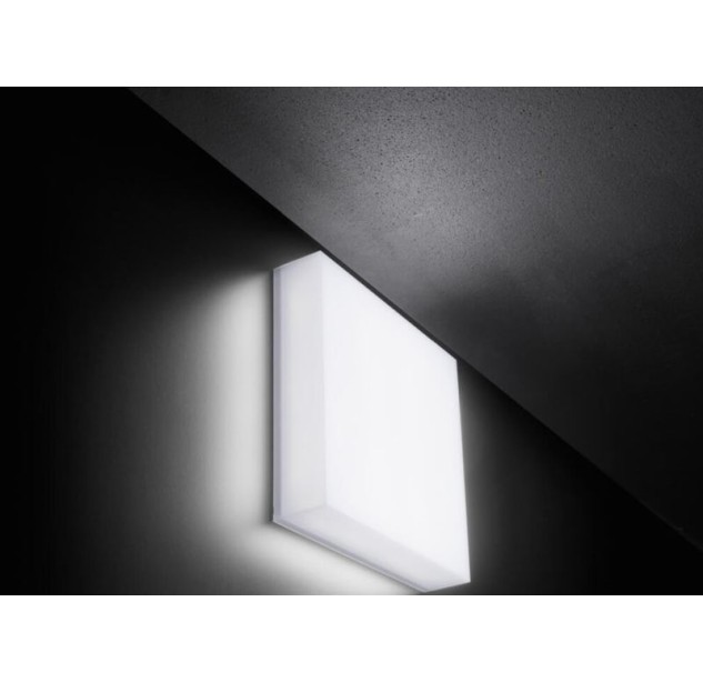 Sieninis/lubinis lauko šviestuvas ART 250 20W IP66