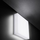 Sieninis/lubinis lauko šviestuvas ART 250 20W IP66