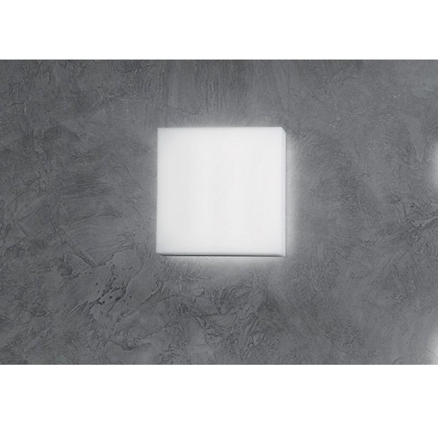 Sieninis/lubinis lauko šviestuvas ART 250 20W IP66