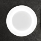 Sieninis/lubinis lauko šviestuvas ROSS 330 White 25W IP66 Sieninis/lubinis lauko šviestuvas ROSS 330 White 25W IP66