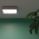 Sieninis/lubinis šviestuvas FLO Q 300 White 30W IP20 Sieninis/lubinis šviestuvas FLO Q 300 White 30W IP20