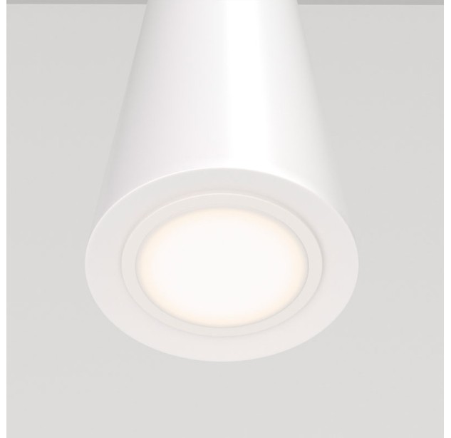 Pakabinamas šviestuvas NEVILL P318-PL-01-W Pakabinamas šviestuvas NEVILL P318-PL-01-W