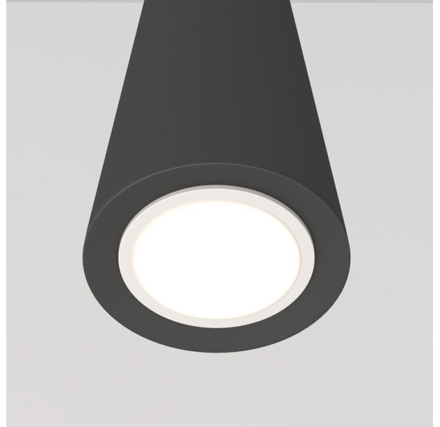 Pakabinamas šviestuvas NEVILL P318PL-01B