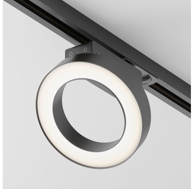 Akcentinis šviestuvas RIM 3000K TR044-1-12W3K-B