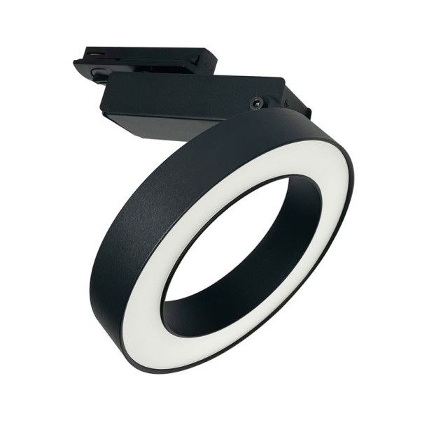 Akcentinis šviestuvas RIM 4000K TR044-1-12W4K-B