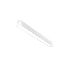 Magnetinis šviestuvas RADITY 4000K 16W TR080-1-18W4K-W Magnetinis šviestuvas RADITY 4000K 16W TR080-1-18W4K-W