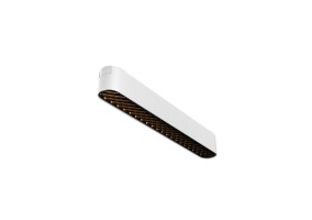 Magnetinis šviestuvas RADITY 3000K 12W TR084-1-12W3K-W