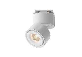 Akcentinis šviestuvas YIN 4000K TR084-1-15W4K-W