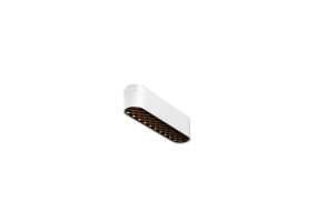 Magnetinis šviestuvas RADITY 3000K 6W TR084-1-6W3K-W