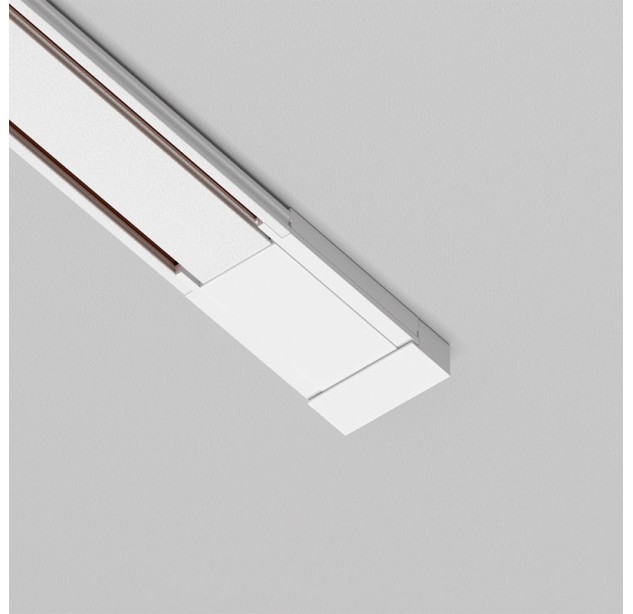 Magnetinės sistemos profilio užmaitinimas RADITY TRA084B-11W