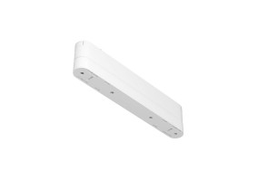 Magnetinės sistemos tvirtinimo elementas RADITY TRA084FC-11LW