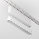 Magnetinės sistemos tvirtinimo elementas RADITY TRA084FC-11LW