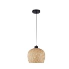 Pakabinamas šviestuvas SCARLET LED E27 1x12W IP20 9142499