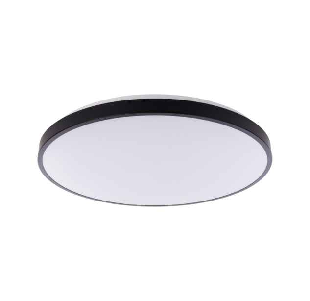 Vonios kambario šviestuvas AGNES ROUND BL 64W 4000K  IP44
