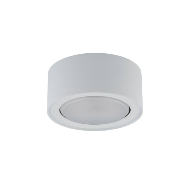 Lubinis šviestuvas FLEA WH 12W 8202