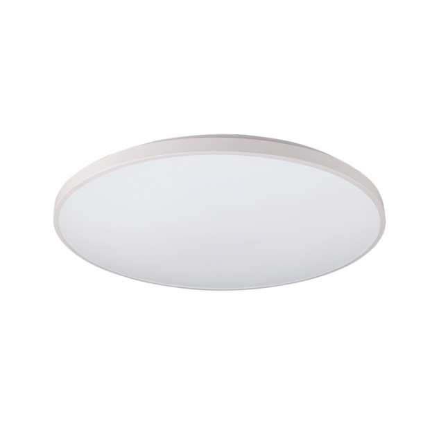 Vonios kambario šviestuvas AGNES ROUND WH 64W 3000K  IP44