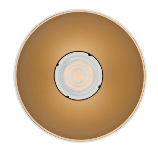 Lubinis šviestuvas POINT TONE WH/G 10W 8221