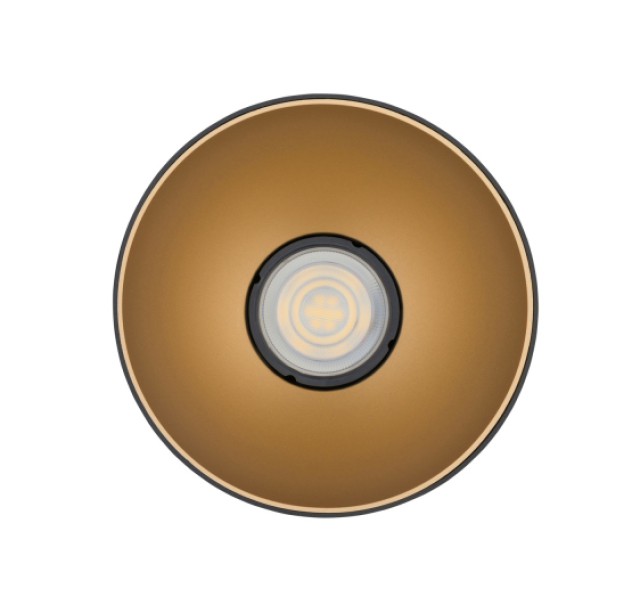 Lubinis šviestuvas POINT TONE BL/G 10W 8224