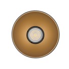 Lubinis šviestuvas POINT TONE BL/G 10W 8224