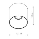 Lubinis šviestuvas POINT TONE BL/G 10W 8224