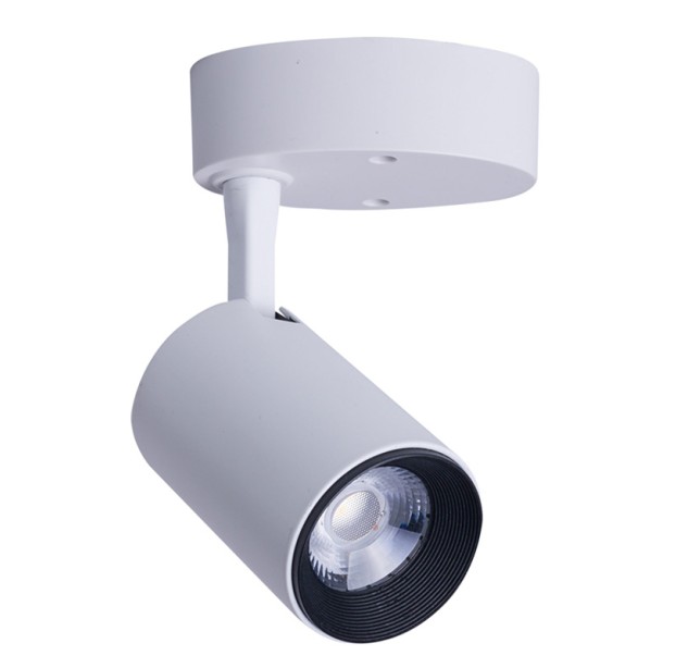 Akcentinis šviestuvas IRIS LED 7W baltas 24° Akcentinis šviestuvas IRIS LED 7W baltas 24°