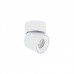 Akcentinis / lubinis šviestuvas Sconce OSCAR WHITE 15W LED 11347