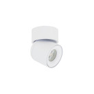 Akcentinis / lubinis šviestuvas Sconce OSCAR WHITE 15W LED 11347