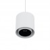 Pakabinamas šviestuvas POINT DUO ZWIS WHITE/BLACK
