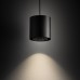 Pakabinamas šviestuvas POINT DUO ZWIS BLACK