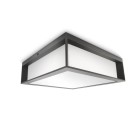 SKIES Anthracite Outdoor Ceiling Light SKIES Anthracite Outdoor Ceiling Light