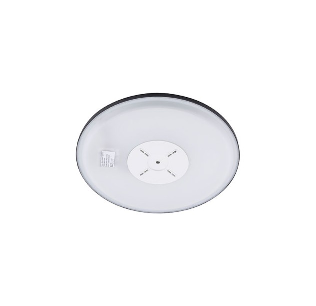 Lauko lubinis šviestuvas AQUA 6903 Lauko lubinis šviestuvas AQUA 6903