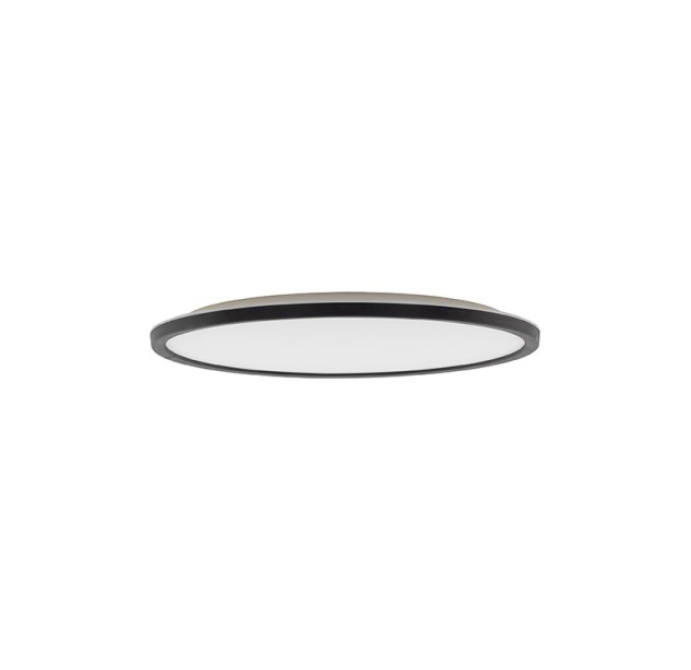 Lauko lubinis šviestuvas AQUA 6905 Lauko lubinis šviestuvas AQUA 6905