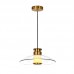 Pakabinamas šviestuvas LED Light 10W 3000K brushed brass-clear glass 25141 dimeriuojamas 