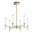 Pakabinamas šviestuvas LED Light 46W 3000K brushed gold 25449 dimeriuojamas Pakabinamas šviestuvas LED Light 46W 3000K brushed gold 25449 dimeriuojamas
