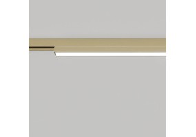 Akcentinis/Lubinis šviestuvas LINEO 3000K 24W IP20 Z5040-24.OP.30.BR