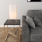 Naos stalo lempa 8191/55 Technical Gold, LED E27 15 W, CL.II, su jungikliu, MULTI-PACK