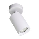TLS006-WH TORE BALTA LUBŲ LEMPA/WHITE