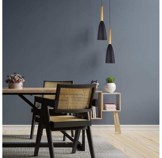 Pakabinamas šviestuvas SOLIN 60W E27 LP-181/1P BK/GD